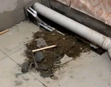 霞山卫生间漏水检测哪家好